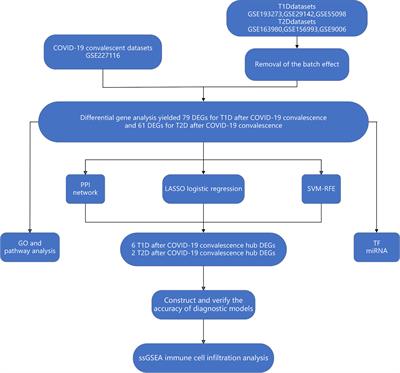 Combining bioinformatics and machine learning algorithms to identify and analyze shared biomarkers and pathways in COVID-19 convalescence and diabetes mellitus